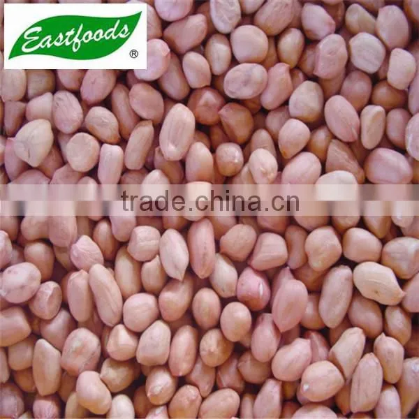 New Crop Peanut Kernel photo-6