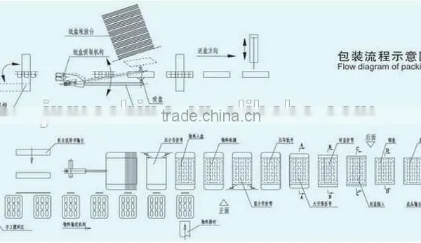 Hot Sale Automatic Bottles Carton Machine High Speed Cartoning Machine photo-4