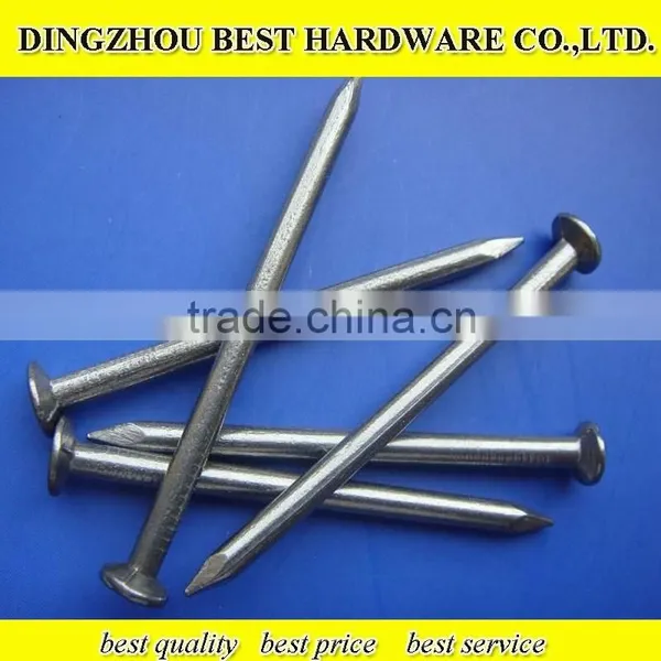 Polished Common Iron Nail photo-3