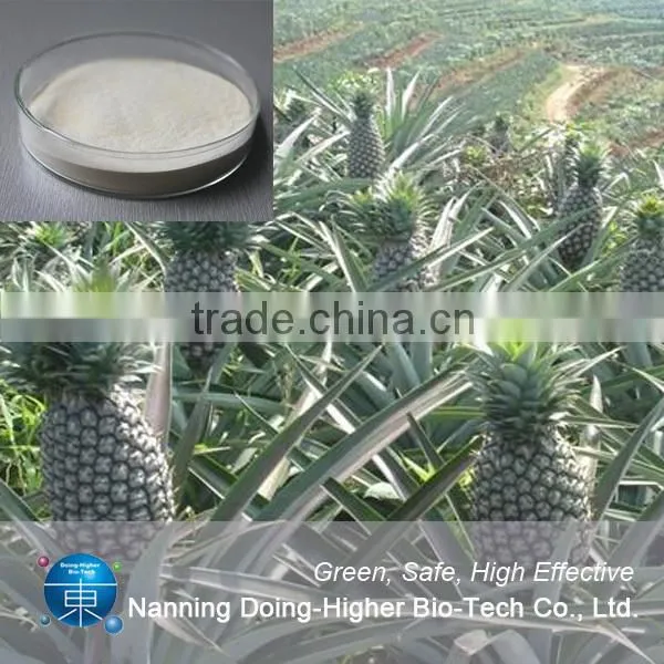 Healthcare Supplement Bromelain Pineapple Extract photo-2
