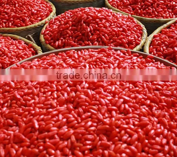 Ningxia Organic Sun Dried Goji Berries