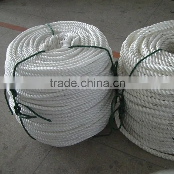 20mm Nylon Rope/mooring Rope/8 Strand Polypropylene Rope photo-6