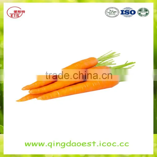 High Quality Fresh 2016 New Carrot photo-2