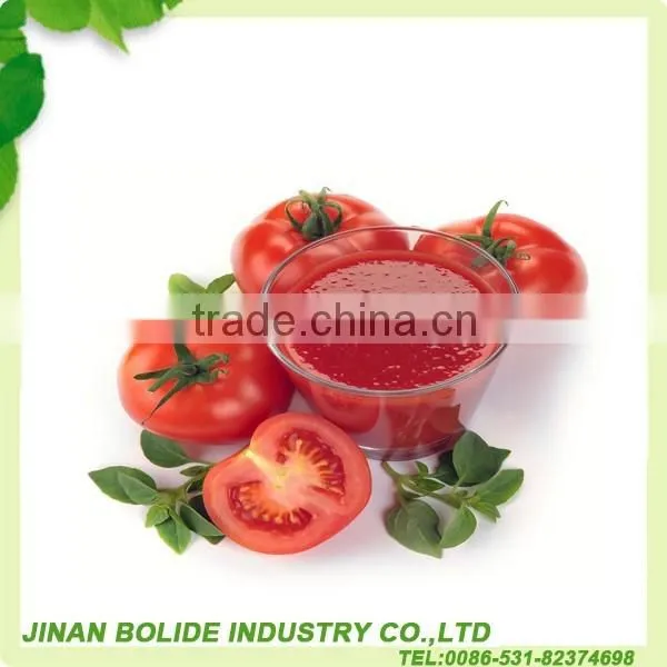 Tomato Sauce Ketchup With High Quality Sell Well photo-5