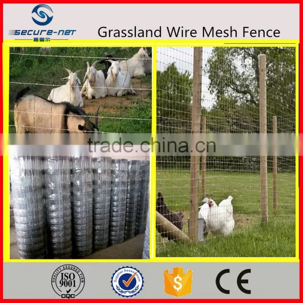 Animal Fence Woven Wire Mesh Machine photo-4
