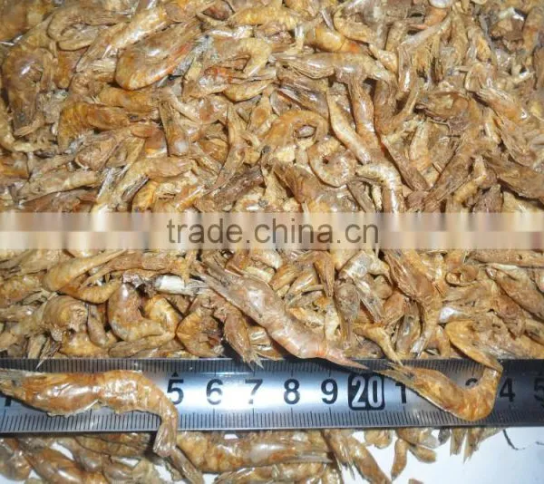 Turtle Food Freshwater Dehydrated Shrimp photo-2