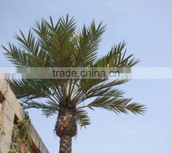 Newest Design Top Quality Artificial Palm Tree Leaves photo-5