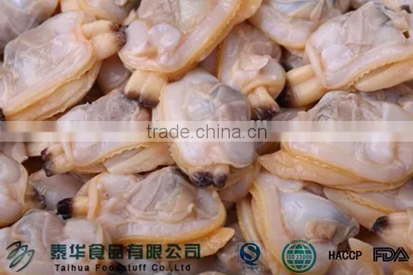 Seafood Importer Clam Meat Shellfish Seafood Frozen photo-2