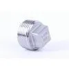NPT Stainless Steel