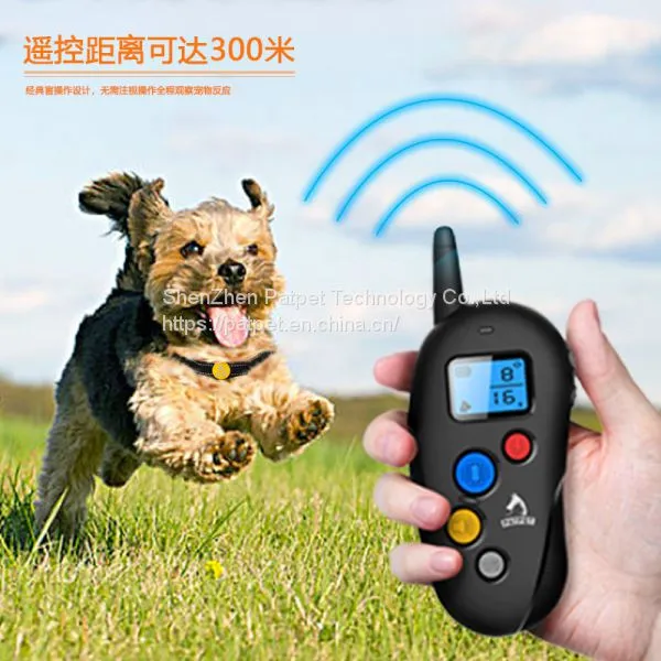 Amazon Hot Sell Stocked Collar Training Your Dog 310 photo-4