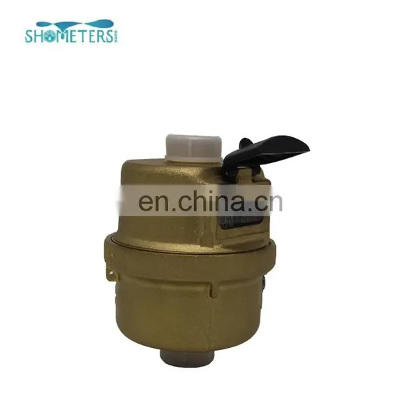 LXHY Series Good Quality High Accuracy Brass Body Volumetric Water Meter photo-7