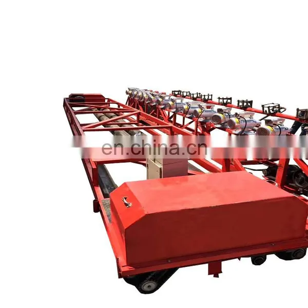 Concrete Roller Paver Customized Electric Motor Roller Paver Leveling Machine for Sale photo-4