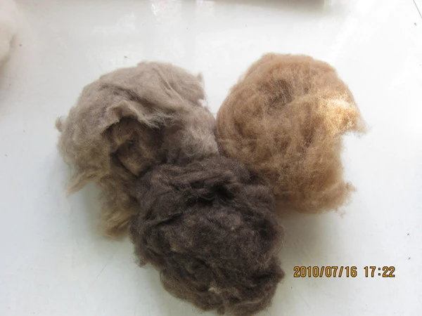 Fineness 25-26 Removing Sheep Wool Merino Wool/greasy Wool
