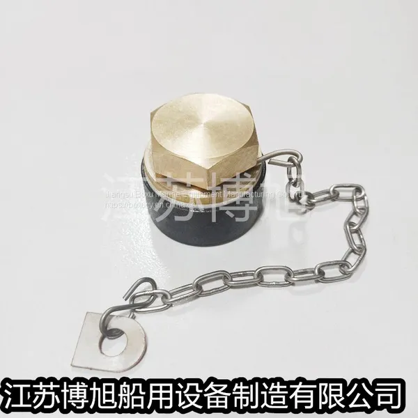 Gb2028-80 Full Set of Chain Drain Plug/brass Drain Plug/welding Seat photo-2