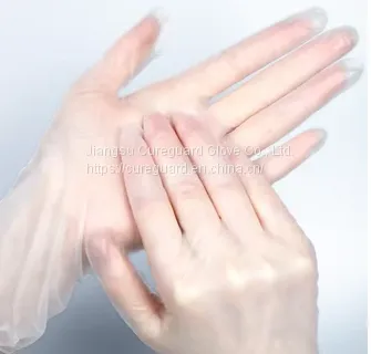 Powder Free Vinyl Gloves photo-2