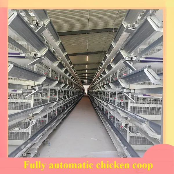 Fully Automatic Chicken Coop and Non Fully Automatic Chicken Coop photo-4
