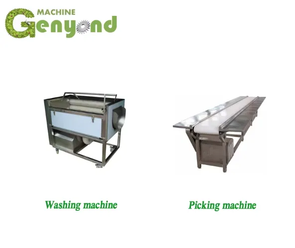 Electric/gas Style Fryer Machine7