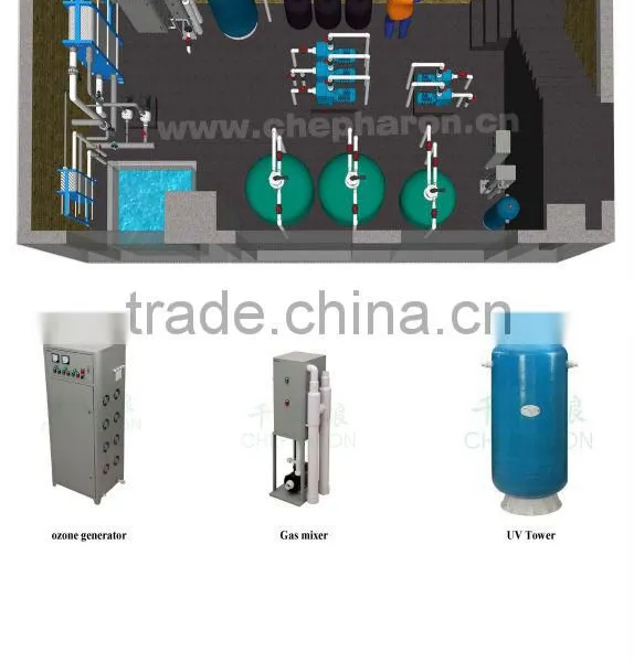 Swimming Pool Water Ozone Desinfection System photo-2