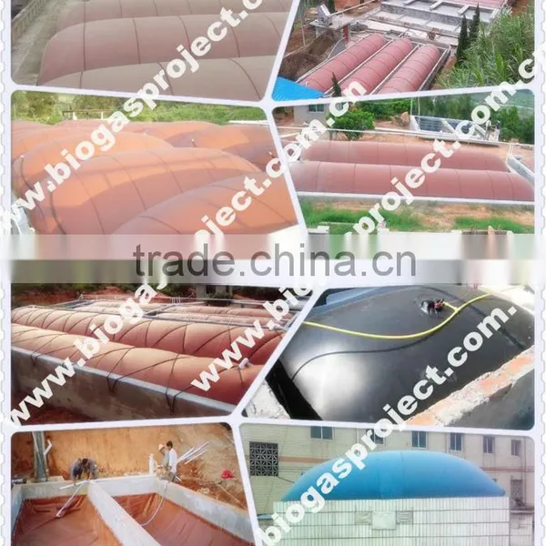 Industrial Biogas Digester photo-4