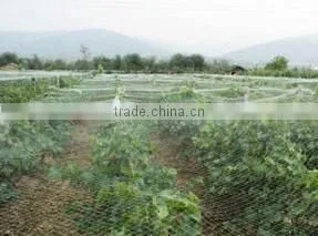 High Tensile Plastic BOP Netting for Anti Bird and Plant Support &deer Fence photo-6