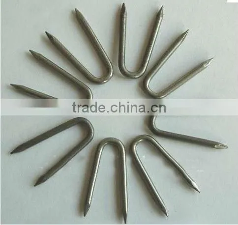 Hot-dipped Galvanized Fence Staples / U-Nails/ U Type Nails