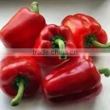 Oleoresin Capsicum photo-4