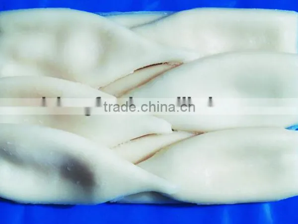 Stock Available Frozen Squid Tube U5/7/10