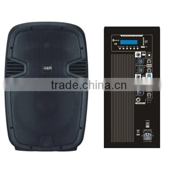 15" Active Speaker Cabinet With MP3,USB,SD, Bluetooth ,FM