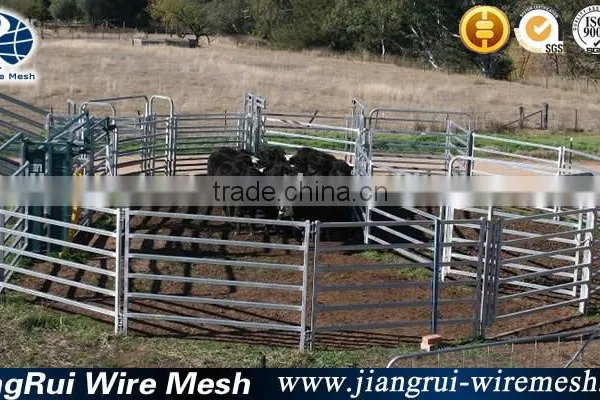 Cattle Panels