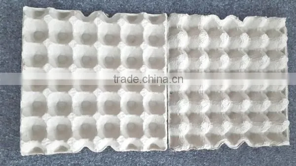 Egg Paper Tray photo-2