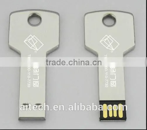 Hot Sale Metal USB Key 8gb for Promotional Gifts With Life Warranty photo-3