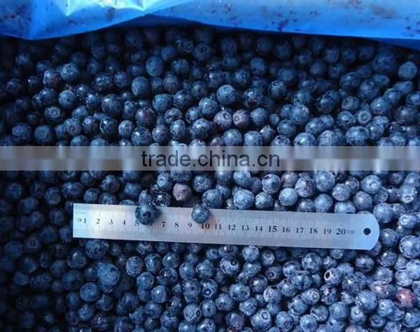 Frozen Blueberry Fruit--iqf Blueberries Wild Fresh Blueberries Wholesale photo-5
