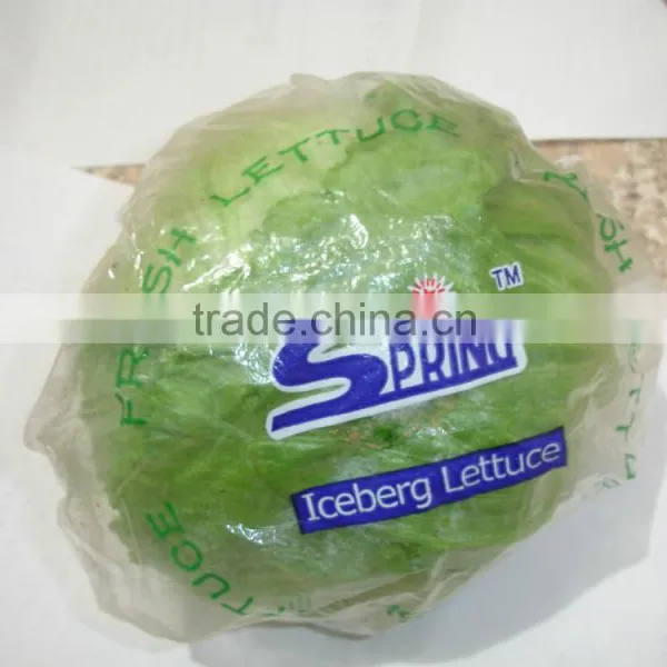 Wholesale Green Fresh Lettuce Yunnan Origin Lettuce photo-2