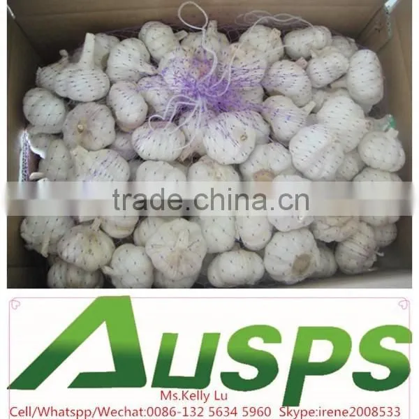 2015 New Crop Chinese Fresh Garlic 4.5-6.0cm photo-4
