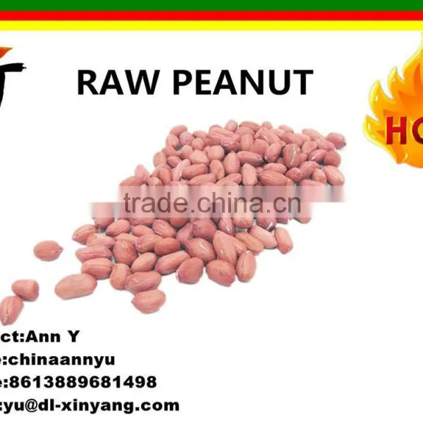 Wholesale Long Size Chinese Peanut Kernels From China photo-4