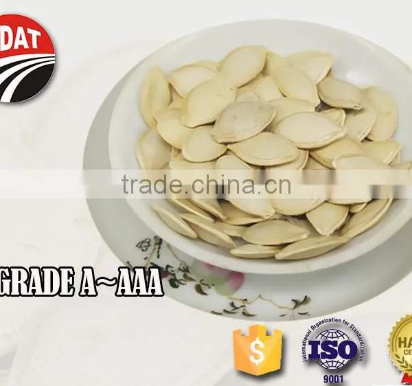 Best Quality and Cheap Pumpkin Seeds