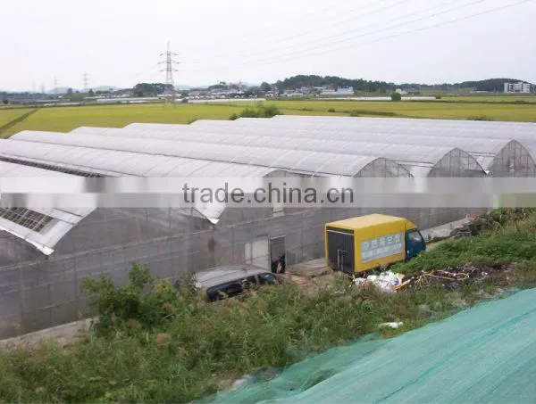 Poly-Film Greenhouse photo-3