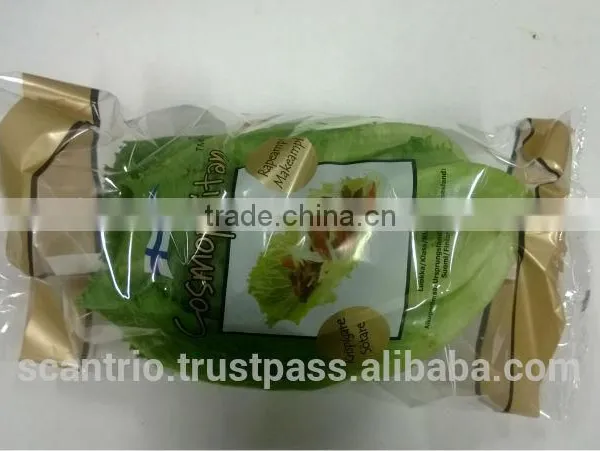 Automatic Fresh Vegetable, Whole Salad Packing Machine. photo-4