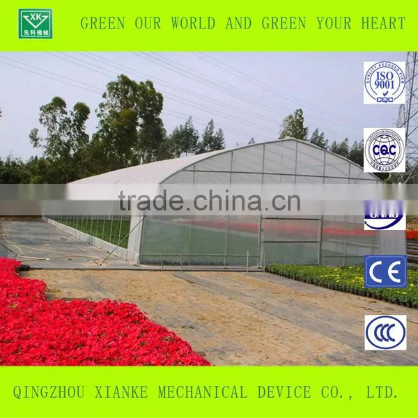 Single-Span Sunlight Seeding Greenhouse in China photo-5