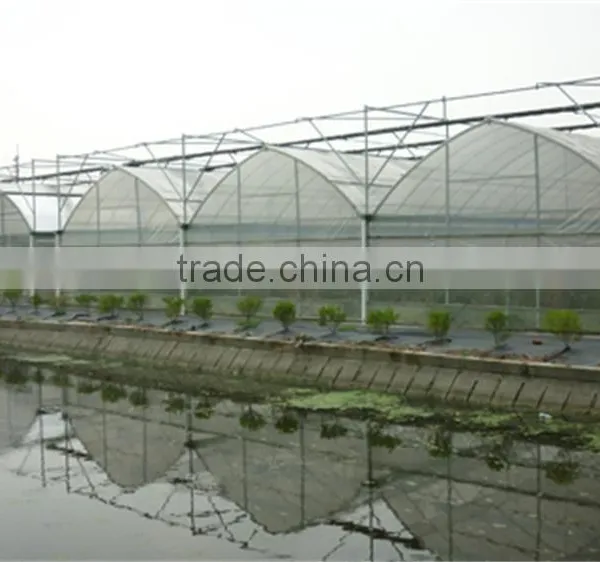 Galvanized Tube Structure Multi-Span Greenhouse Used for Growing Plantings photo-6