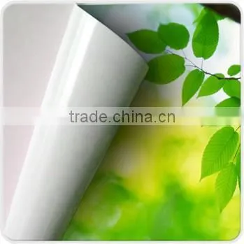 Self Adhesive Vinyl for Cutting Plotter,color Cutting Vinyl,self Adhesive Cutting Vinyl photo-2