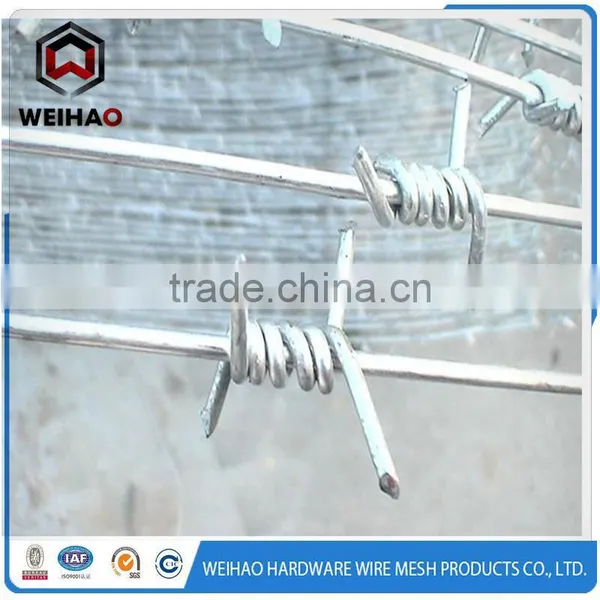 Heavy Hot Dipped Galvanized Steel IOWA MOTTO PUMA High Tensile Galvanized Barbed Wire For Fencing (Export to Australia,NZ,UK) photo-4