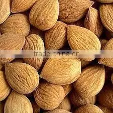 Bitter Almond Oil photo-2