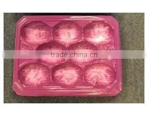 Blue Color Disposable Plastic Fruit Tray photo-6