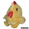 Rooster