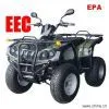 260cc EEC / COC Quad (ATV260B-EEC)