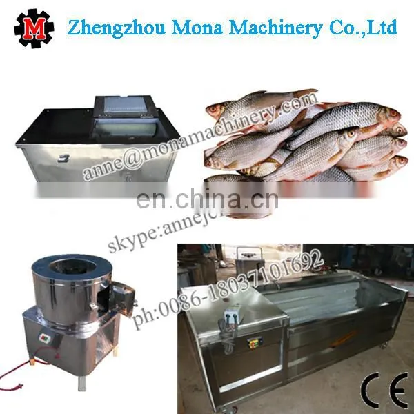 Industrial Tuna Fish Processing Machine to Remove Fish Scales photo-5