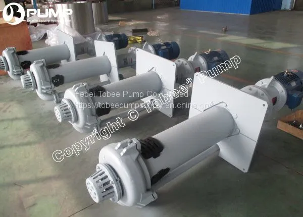 Standard 40mm Heavy Duty Cantilever Sump Slurry Pump photo-5