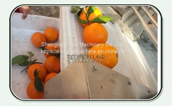 Bubble Ozone Vegetable Washing Machine photo-3