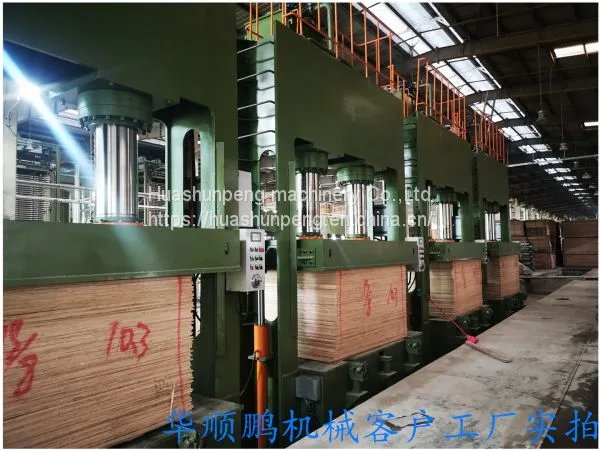 400 Ton Cold Press Wood Veneer Decorative Board Artificial Board Joinery Board photo-4